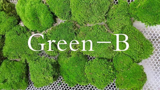 Preserved Pole Moss Pillow Bun Cushion Natural Green Decorative Real Natural Green DIY Kit Terrariums Gardenning Art Wall Decor Florist Decor Easter Table Decor Wedding(6.0 sq.ft., Green-B)