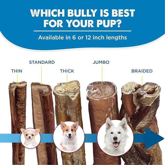 Best Bully Sticks Natural Jumbo Bully Sticks for Large Dogs - 12 Inch, 8 Count (Pack of 1) - 100% Free-Range Grass-Fed Beef, Single-Ingredient, Grain and Rawhide Free Long Lasting Dog Chews