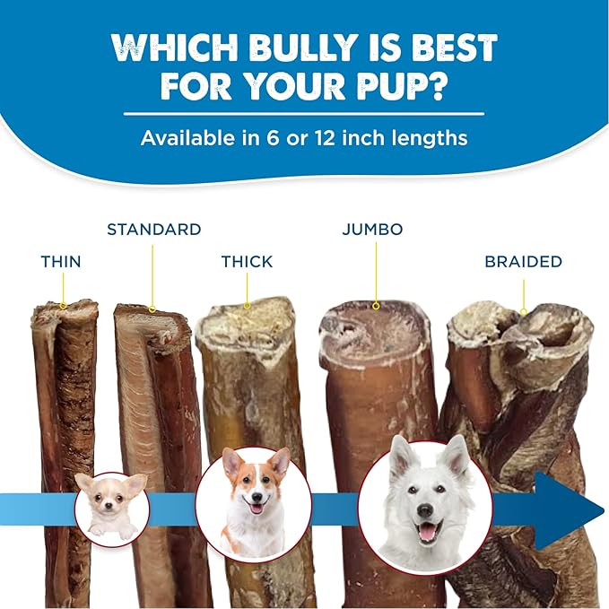 Best Bully Sticks 6 Inch Jumbo Bully Sticks for Dogs - 12 Count (Pack of 1) - Natural Grass-Fed Beef, Single Ingredient, Grain and Rawhide Free Chew, Large Breeds