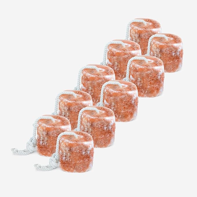 RESISTANCE Himalayan Salt Lick 2lb Block on Rope for Horses, Cattle, Deer, Goats, and Livestock – Pack of 10 Blocks