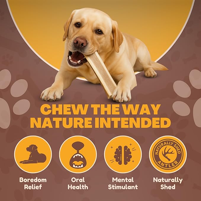 WhiteTail Naturals - (2 Pack- Extra Large - Split Elk Antlers for Large Dogs (XL) - Antler Dog Chews - Naturally Shed, Elk Horn Chew Bone for Aggressive Chewers