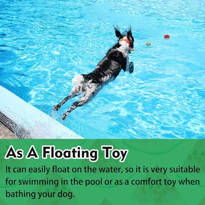 PUPTECK Floating Dog Pools Water Toys, Bouncing Balls 2 Pack for Summer Swimming Pool Games, Interactive Puppy Training Toy with Cute Pineapple and Watermelon Pattern