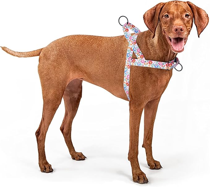 No Pull Dog Harness for Small, Medium, and Large Pets - Floral Pattern Nylon Safety Training Dog Harness (L, White)