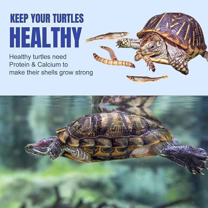 Amzey 2 Pack Aquatic Turtle Food, Vitamin, Enriched Medley Treats of Freeze, Dried Mealworms, River Shrimp & River Fishes, High Protein Turtle Medley Food for Aquatic Tortoise, 3.7 Ounce Total
