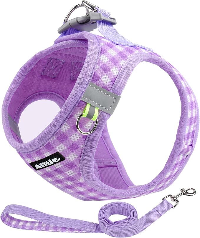 AIITLE Plaid Print Dog Harness Set – Lightweight, Reflective & Adjustable Vest Harness for Puppies – Perfect for Boston Terriers, Maltese & Indoor/Outdoor Use (XS, Purple)