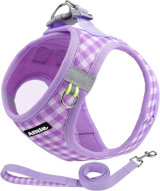 AIITLE Plaid Print Dog Harness Set – Lightweight, Reflective & Adjustable Vest Harness for Puppies – Perfect for Boston Terriers, Maltese & Indoor/Outdoor Use (XS, Purple)