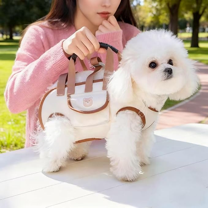 Portable Small Dog & Cat Pet Carrier Sling & Backpack for Small Dogs & Cats & Puppy, Dog & Pet Purse Bag Carrier Sling for Small Dogs with Dog Traction Leash, Crossbody Sling Carriers (Orange S)