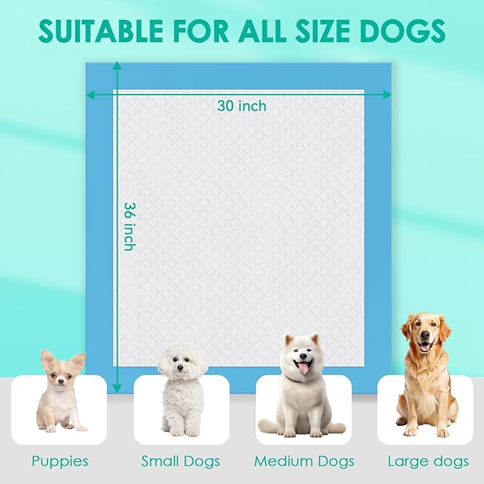 JollyMate Dog Pee Pads Extra Large 30"x36", 30 Pack X-Large Super Absorbent Pet Training Pads with Adhesive Tabs, 6 Layers Thick Leak-Proof Potty Pads for Dogs and Puppies