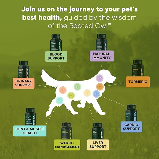 Rooted Owl Joint and Muscle Support for Cats and Small Dogs (Under 30 Lbs) - Supplement with UC-II Type II Collagen and L-Carnitine - 30 Count