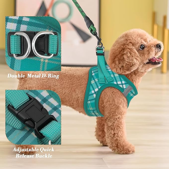 Athena Collection Small Dog Harness with 5 ft Leash, Step-in Dog Harness Leash Set Extra Small No Pull Dog Vest Harness with Reflective Strips Adjustable Velcro, Easy Walk Puppy Harness, Green