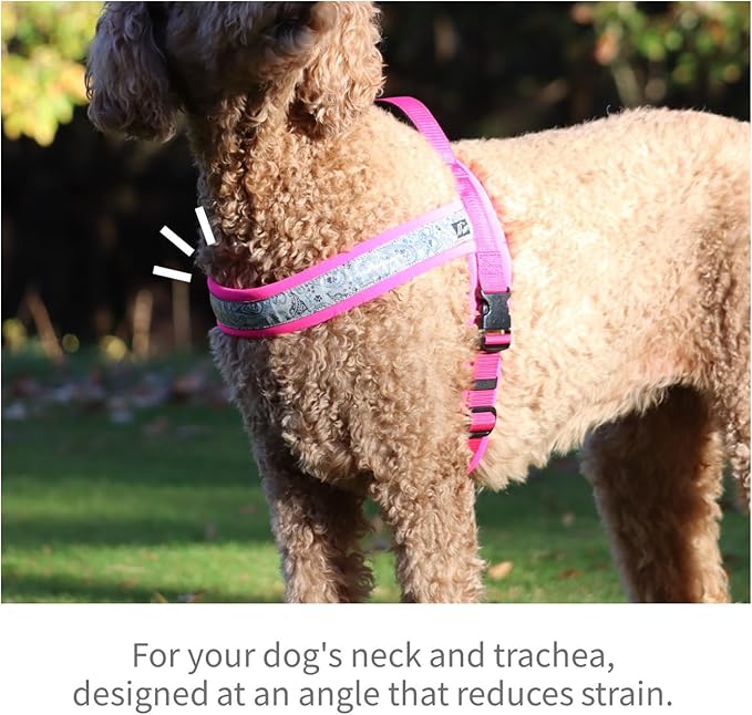 【Hakusan】 New Just Fit Dog Harness Dragon - Reflective, Paisley, Stress-Free, Japanese Made,one-Touch Buckles,Easily Put on,(Pink×Pink, 1.5)