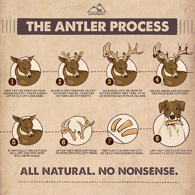 peaksNpaws Premium All-Natural Grade A Split Elk Antlers for Dogs – Naturally Shed in The Rocky Mountains – No Additives, No Preservatives - Healthy and Delicious Treat - Made in USA - S/M Split