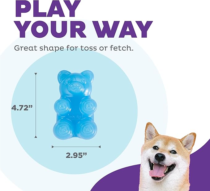 Outward Hound Gummiez Bear 2-in-1 Dental Dog Chew Toy and Dog Treat Stuffer Game, Blue Raspberry Scent, Blue