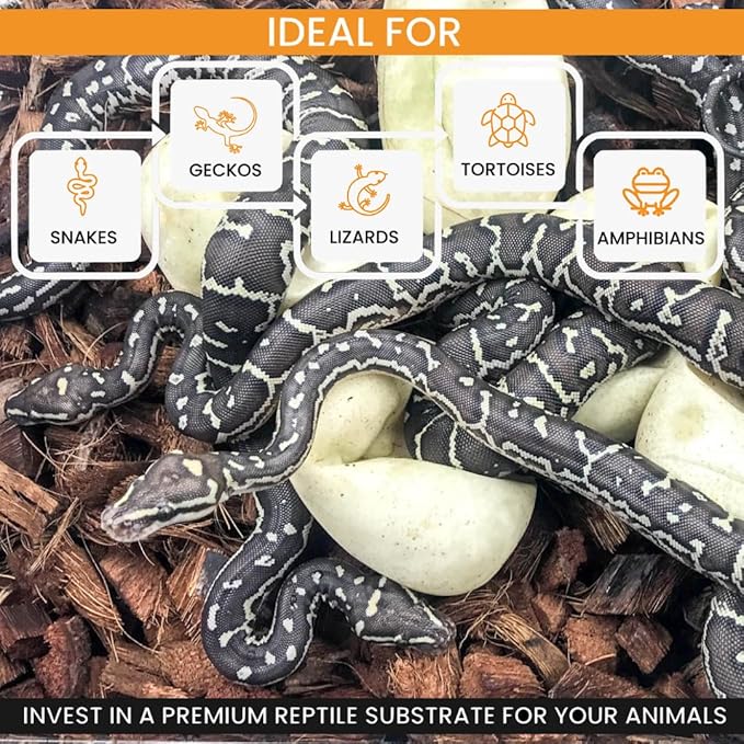 ReptiChip Reptile Bedding Loose Coconut Chip 36 Quart 4 Pack Coco Husk Substrate Mulch for Snake Habitat, Ball Python Terrarium, Turtle Tanks, Tortoise Enclosure
