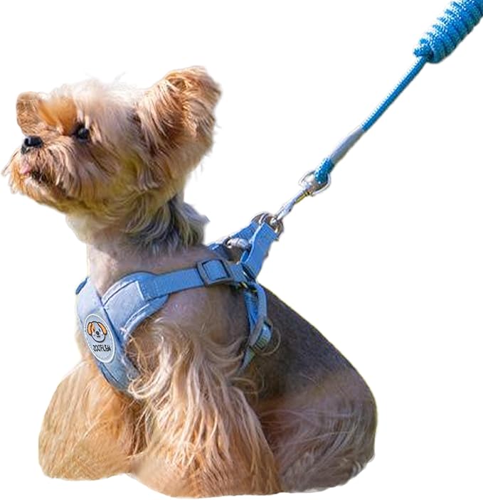 Dog Harness with Leash Set, Puppy Soft Vest No Choke No Pull, Adjustable Neck and Chest, Lightweight Harness and Anti-Twist Pet Leash Combo for Small to Medium Dogs (Blue, M-Medium)