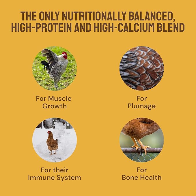 Hatortempt Non-GMO Chicken Feed - 10 lb, Pack of 1 - High Protein Formula - Mealworms for Chickens - Egg Shell Strength - Calcium Grit - Layer Nutrition & Layer Feed