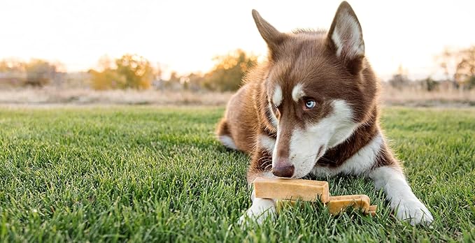 peaksNpaws Himalayan Dog Chew, Yak Cheese Dogs Treats, High Protein, Long Lasting Chews, Natural, Lactose Free Dogs Treat for Aggressive Chewers Over 80 lbs, 16 Jumbo Treats