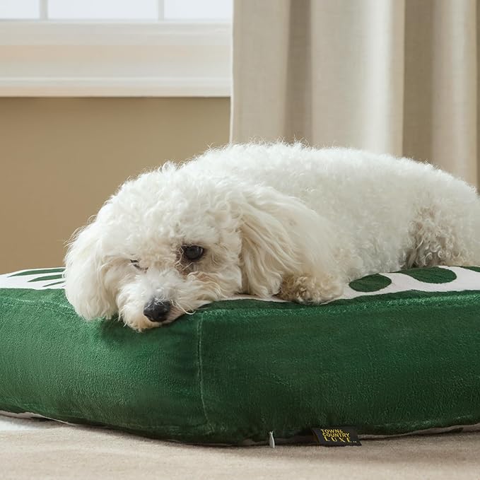TOWN & COUNTRY LUXE CuddleTown Matisse Everwash® Pillow Pet Bed, Water Repellent Floor Pillow, Machine Washable Cover, Soft & Calming, Green, Large 44"x34"x4"