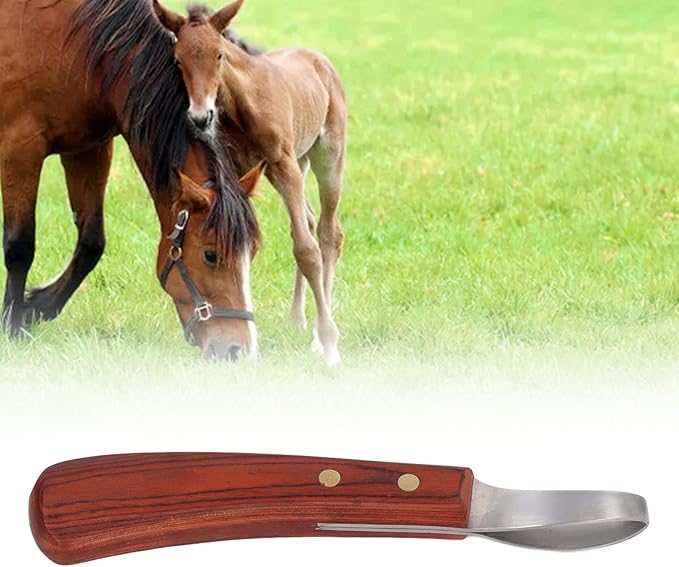CHICIRIS Double Edged Hoof Knife, Farrier Tool with Stainless Steel Blade and Wooden Handle, Multifunctional Cow Horseshoe Knife for hoof Trimming of Horses and Cows