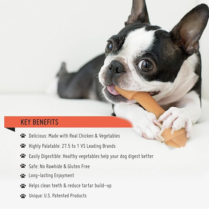 Premium Peanut Butter Dog Chew Bones, Rawhide Free, Gluten Free, Made with Limited Ingredients, Delicious, Healthy, Highly Digestible (Mini 18pcs/Pack)