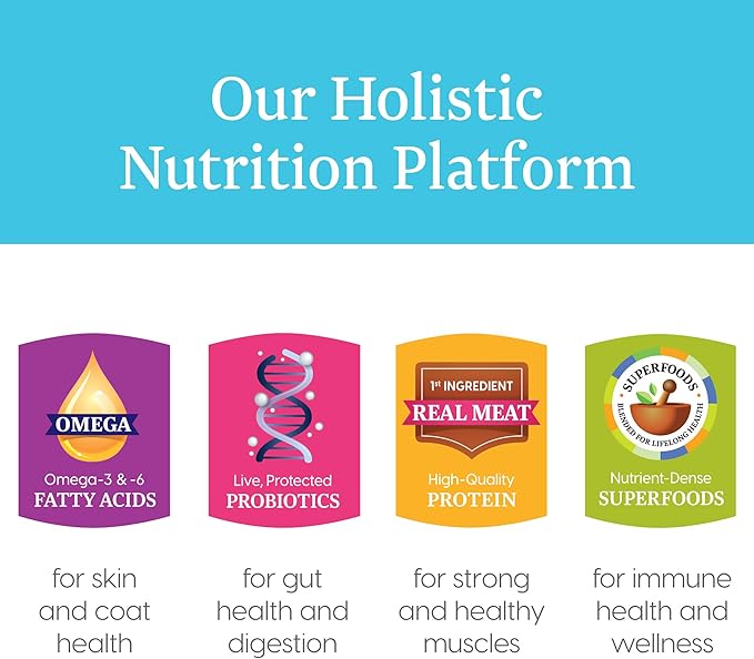 Solid Gold Wet Puppy Food - Made with Real Natural Chicken for Puppies- Love at First Bark Grain Free Canned Dog Food for Gut Health, Immune Support and Soft Skin & Coat