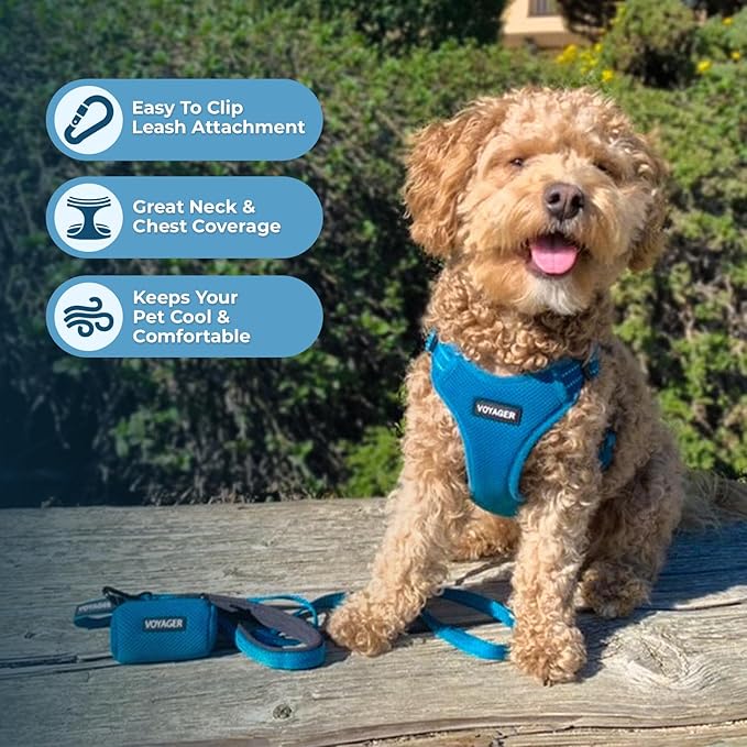 Best Pet Supplies Voyager Mesh Dog Breathable Harness Reflective Stitching, All Weather Adjustable for Walking Training, or Running - Heavy Duty & Durable, Harness Leash Set (Turquoise), L