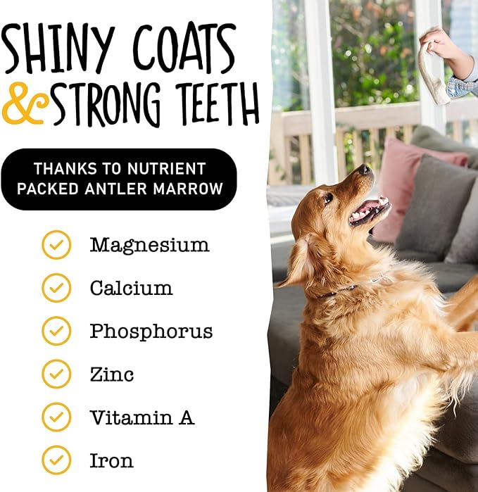 Snatchers Split Elk Antlers for Dogs – Long Lasting Dog Chews and Dog Toys for Aggressive Chewers, Naturally Shed Deer Antlers for Dogs Processed in The USA, No Additives (Extra Large, 8-9", 1 Count)