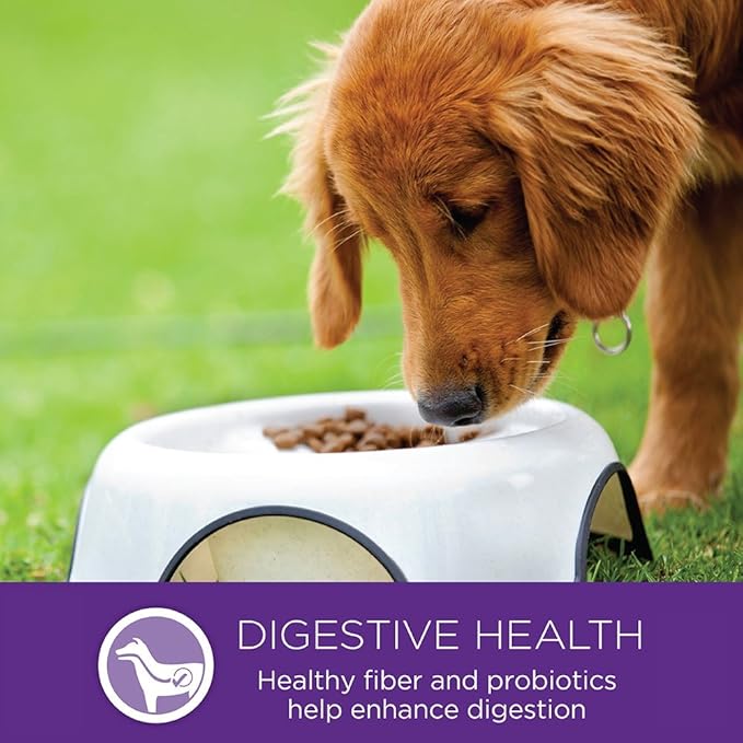 Wellness Complete Health Small Breed Dry Dog Food with Grains, Natural Ingredients, Made in USA with Real Turkey, For Dogs Up to 25 lbs (Adult, Healthy Weight Turkey & Rice, 4-Pound Bag)