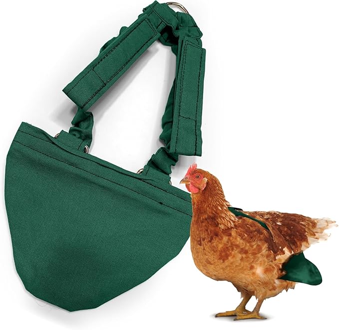 Hen Holster Bikini Diaper, Bird Diaper & Harness for Hens, Roosters, Ducks, Geese - with Removable Vinyl Liner, Adjustable Fit for Outdoor Adventures & Indoor Use - Easy to wear - S/M, Green