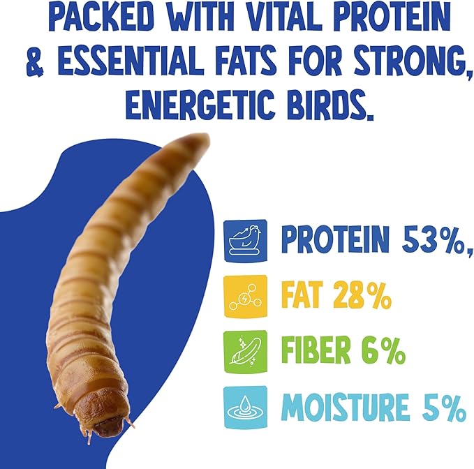 30Lbs Recyclable Box of Chubby North American Grown Dried Mealworms (Non-GMO) - Chicken/Duck Treats