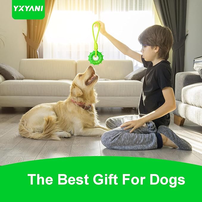 Durable Dog Chew Toy – Tough Rubber and Rope Tug Toy with Squeaker, Interactive Training and Fetch Toy for Aggressive Chewers, Medium and Large Dogs, Heavy Duty Tug-of-War (Round Ball)