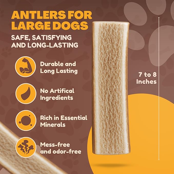 WhiteTail Naturals Dog Chews - Split Elk Antlers for Large Dogs, Agressive Chewers - Antler Dog Bones - Long Lasting Naturally Shed Deer Horns