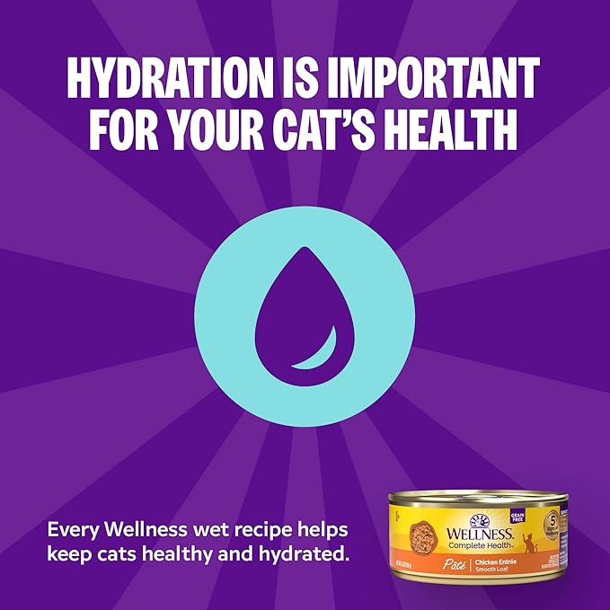 Wellness Complete Health Pate Adult Wet Cat Food, Natural, Protein-Rich, Grain-Free, 3 Ounce, 24 Pack, (Chicken & Herring)