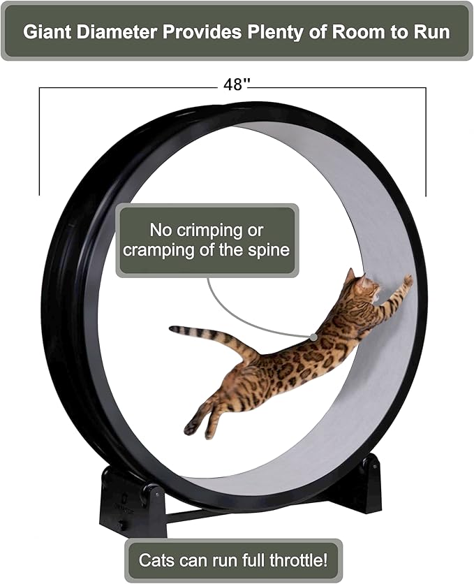 One Fast Cat - Cat Exercise Wheel - Gen. 7 - Safe 48" Diameter - Made in The USA - Black Wheel with Gray Felt Traction Pads and Solid Black Inline Wheels