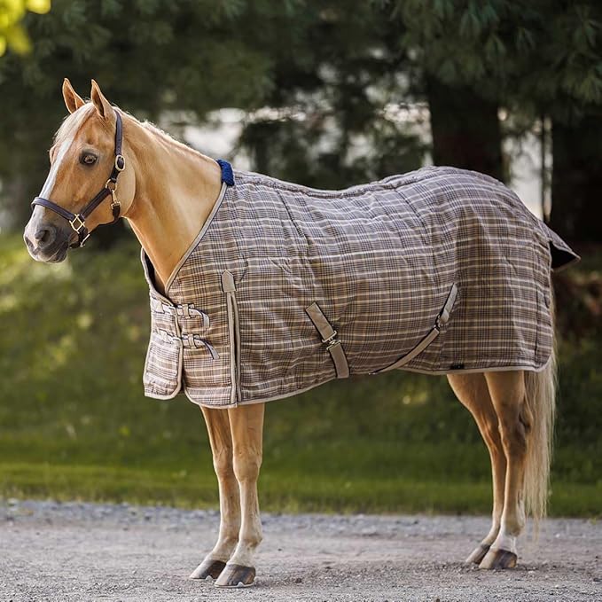 Country Pride Highland 1200D Lightweight Stable Blanket (64, Tan Plaid)