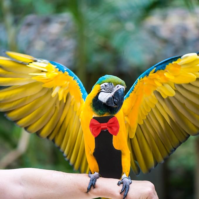 POPETPOP Reusable Cotton Flight Diaper for Parrots Washable Bird Diaper Clothes Bird Parrot