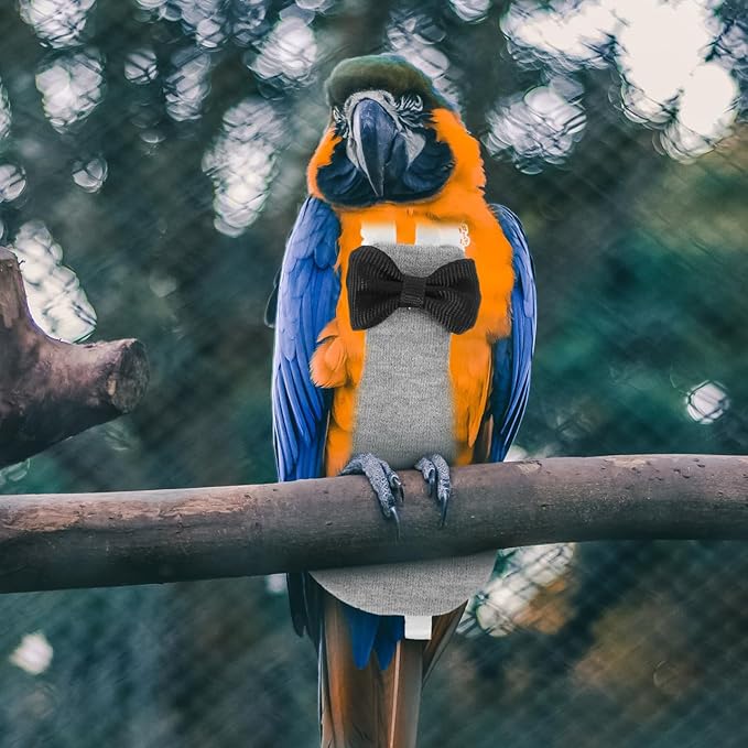 balacoo Bird Diapers Parrot Flight Suit: 4PCS Washable Flight Suite Liners Waterproof Pigeon Pants Flying Bird Diapers for Macaw Parakeet
