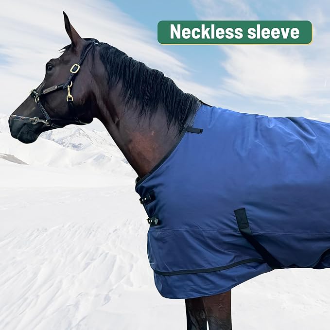 Horse Turnout Blanket | Medium Weight Horse Blanket with 1200D 280g Cotton Filling | Detachable Neck Cover & Belly Wrap (78in/145cm)