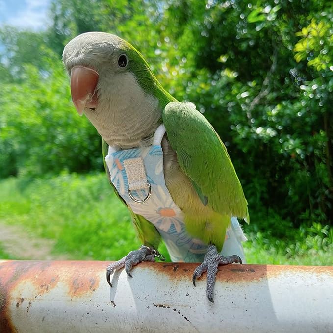 Snap-Closure Parrot Diapers with Adjustable Leash - Washable Bird Flight Suits for Cockatiels, Sun Conures & Quaker Parrots Secure & Chew-Resistant (S – Peachfaced Lovebird + 1m Rope)