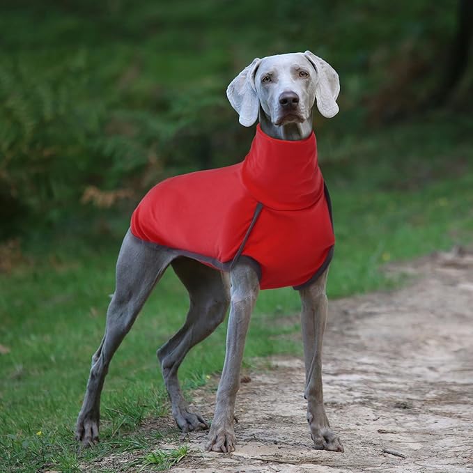 ROZKITCH Dog Winter Coat Soft Pullover Pajamas, Pet Windproof Warm Cold Weather Jacket Vest Cozy Jumpsuit Apparel Outfit Clothes for for Chritmas Walking Sleep BrightRed M