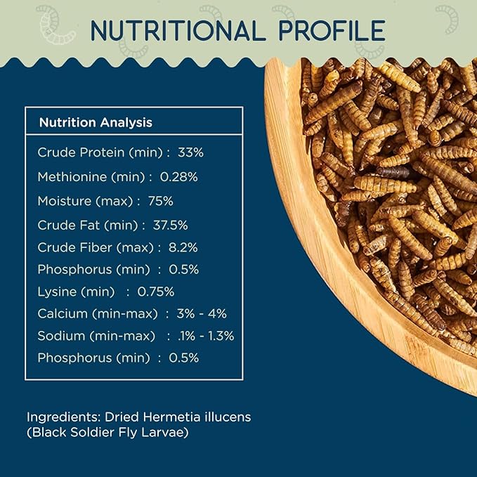 4 lb Black Soldier Fly Larvae for Chickens - High Protein Chicken Feed with 75x More Calcium Than Mealworms - Healthy Poultry Treats for Ducks, Birds - Resealable Bag for Freshness