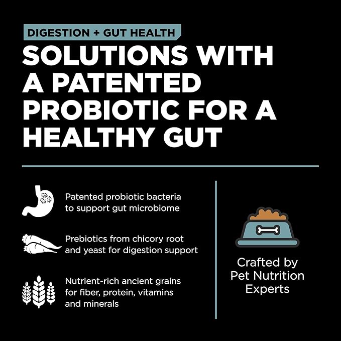 Go! Solutions Digestion + Gut Health, Dry Cat Food, Chicken Recipe with Ancient Grains, 12 lb Bag