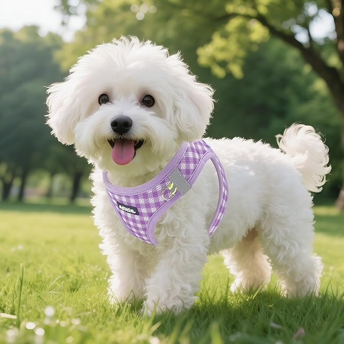 AIITLE Small Dog Harness with Leash – Soft Breathable Mesh, Plaid Pattern & Reflective Strips – Ideal for Training, Running & Party Outings (S, Purple)