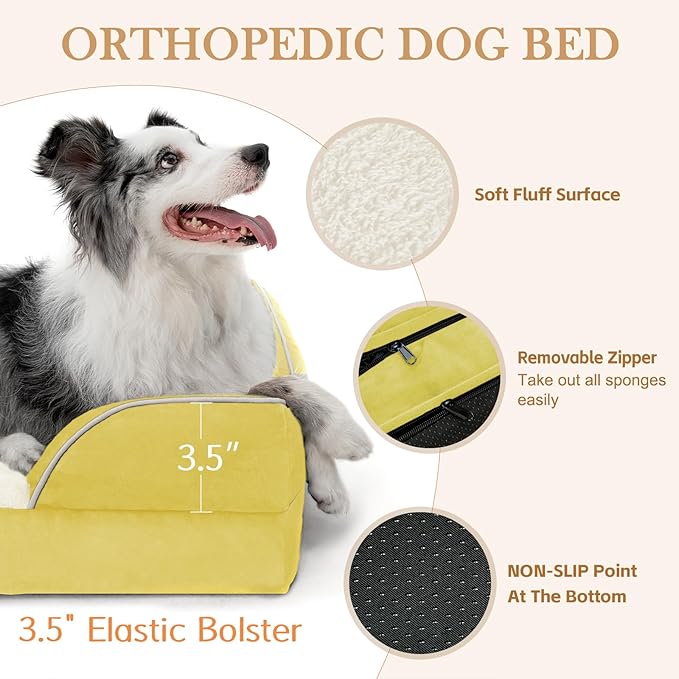 Comfort Expression Orthopedic Dog Bed for Small Dogs 20x14 Inch, Waterproof Egg Crate Foam Small Pet Bed with Removable Bolsters, Dog Couch with Washable Cover & Non-Slip Bottom, Spicy Mustard