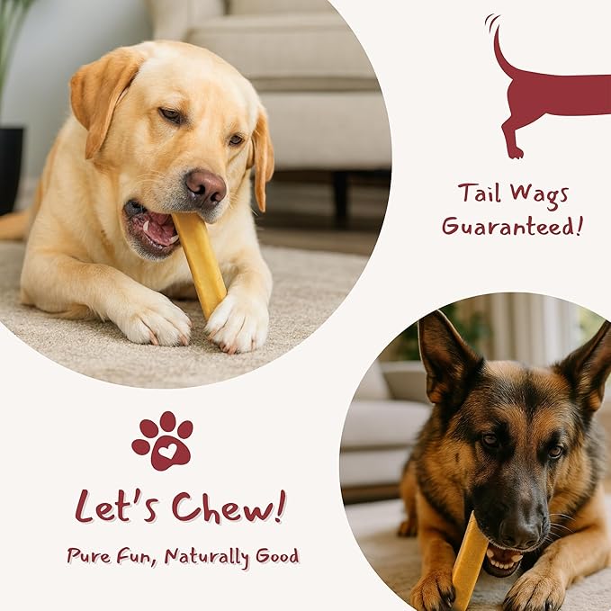 Majestic Pet Himalayan All-Natural Yak Cheese Dog Chews Made with 100% Cows Milk- Long Lasting Dental Chew for Dogs - Healthy Pet Treats (Dental & Bone Support, Regular, 5 Pack)