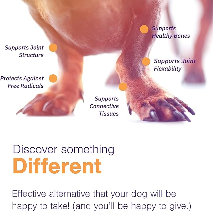 Soft Chews Hip and Joint Support Supplement for Large Dogs - Movoflex 60 Count by Virbac