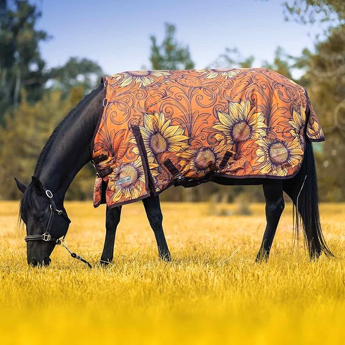 Jeffers Expression 1200 Denier Standard Neck Turnout Blanket for Horses, 75"- Water Proof, Breathable, 240 gram Polyfill for Medium Weight Warmth, Winter Protection for Stall, Barn – Bloomin' Toolin