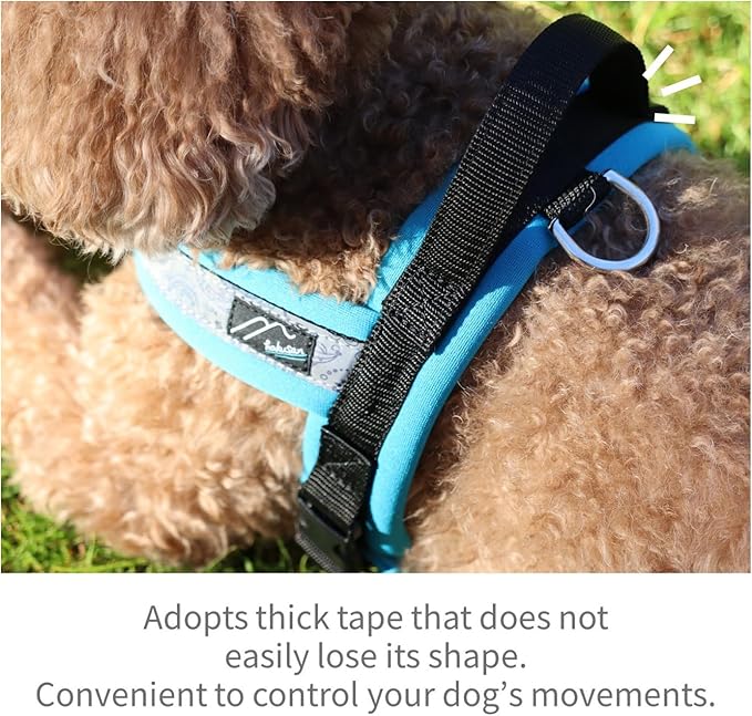 【Hakusan】 New Just Fit Dog Harness Dragon - Reflective, Paisley, Stress-Free, Japanese Made,one-Touch Buckles,Easily Put on,(Red×Black, 4)