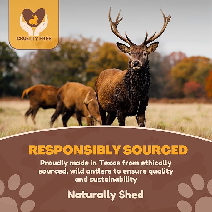 WhiteTail Naturals - Split Elk Antlers for Large Dogs - (3 Pack-Large) - Antler Dog Chews - Long Lasting Dog Chew Bone for Aggressive Chewers