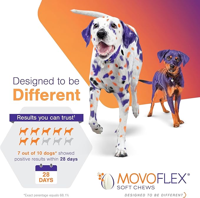 MOVOFLEX Soft Chews Hip and Joint Support Supplement for Dogs for Medium Dogs - 60 Count By Virbac